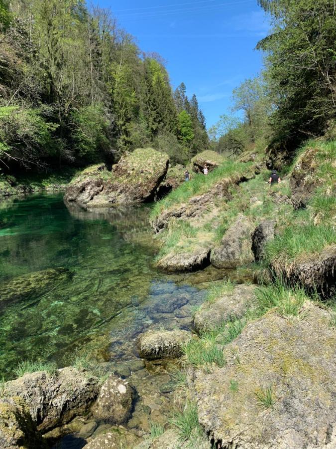 Ferienhaeuschen Am Traunsee Mit Tretboot Zur Freien Nutzung Am Badeplatz Altmünster Kültér fotó