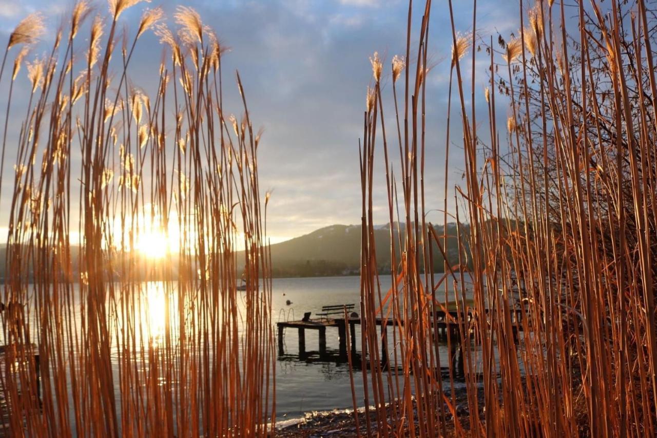 Ferienhaeuschen Am Traunsee Mit Tretboot Zur Freien Nutzung Am Badeplatz Altmünster Kültér fotó